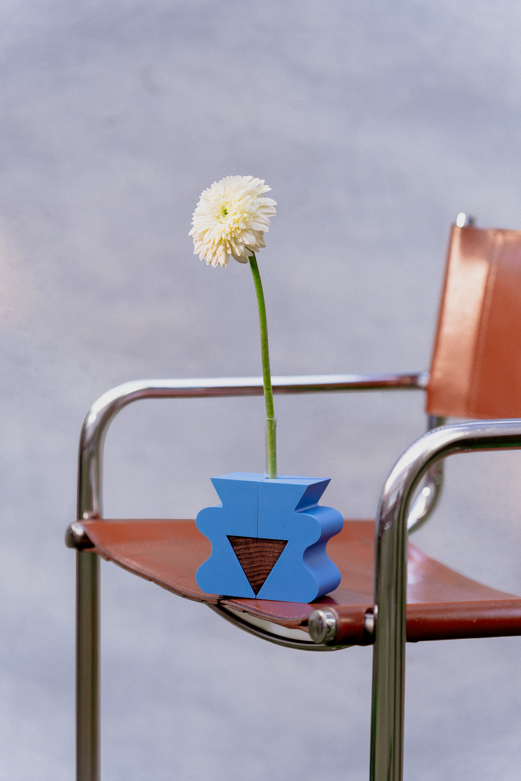 Le Blume